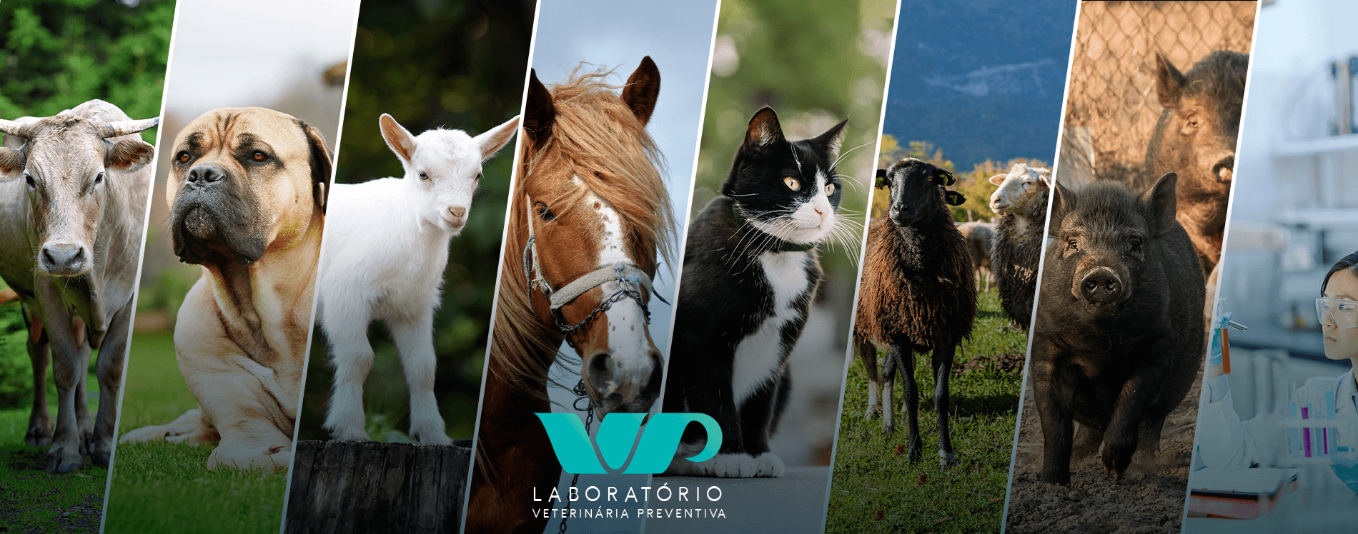 Laboratório Veterinário